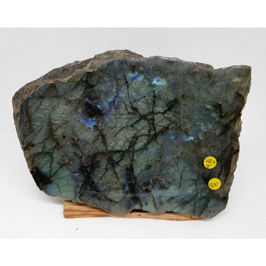 Labradorite 1 Face polie 500